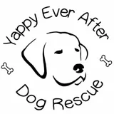 Yappy Ever After